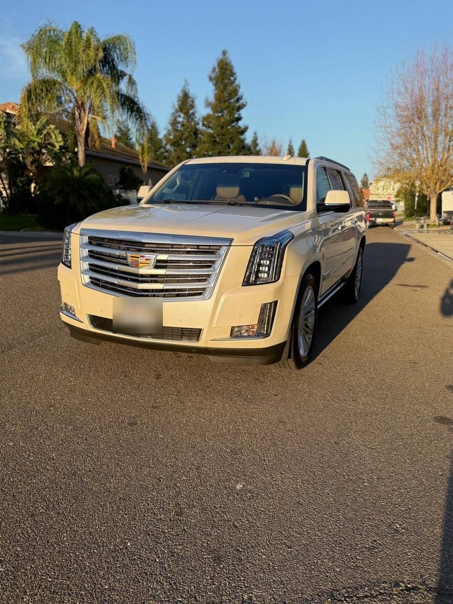 Cadillac Escalade ESV. Paint corrected