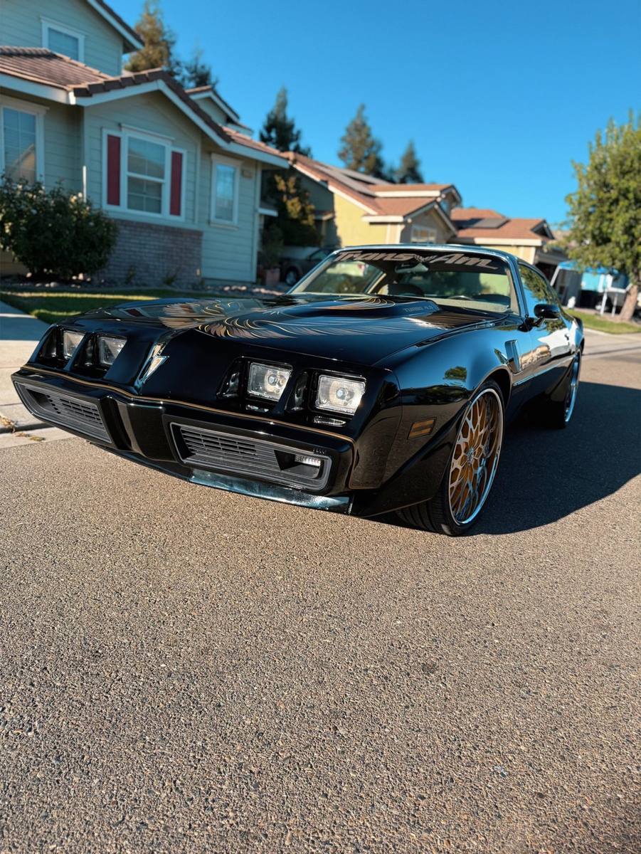 1981 Pontiac Trans Am. Paint corrected after damage from another shop's machine polishing