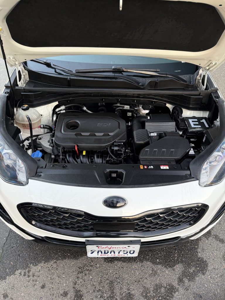 After engine bay cleaning, showing a clean, refreshed engine compartment